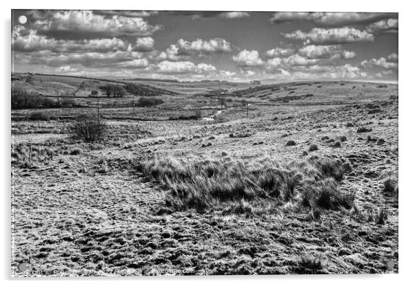 Wild Dartmoor Landscape Acrylic by Roger Mechan