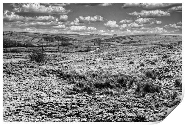 Wild Dartmoor Landscape Print by Roger Mechan
