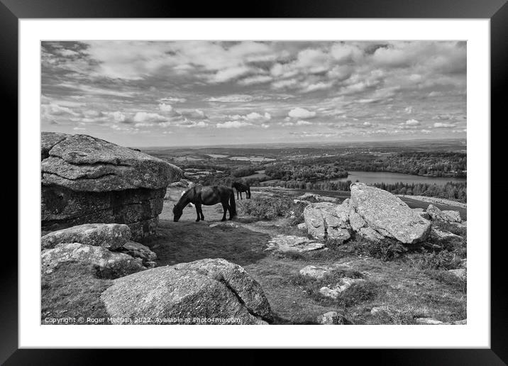 Resilient Ponies on Sheepstor Summit Framed Mounted Print by Roger Mechan
