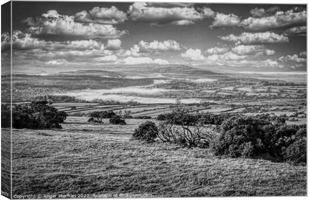Enchanting Dartmoor Valley Canvas Print by Roger Mechan