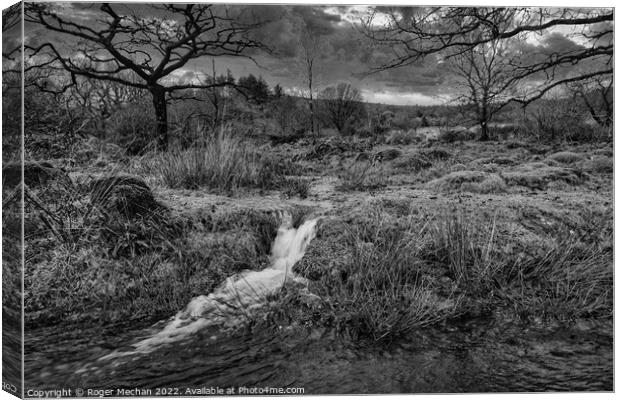 Torrential Rainfall in Dartmoor Canvas Print by Roger Mechan
