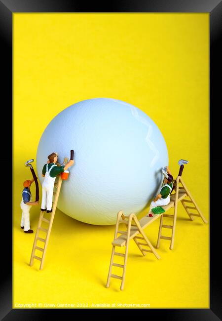 Easter Egg Framed Print by Drew Gardner