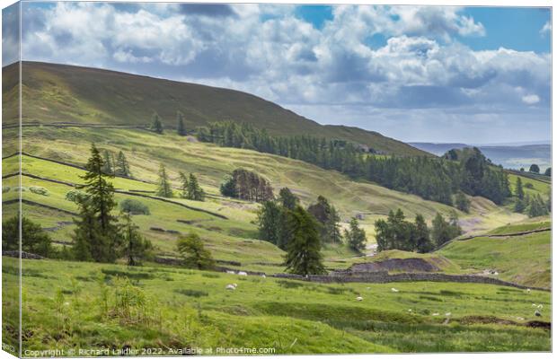 Skears Hushes, Hudes Hope, Teesdale Canvas Print by Richard Laidler