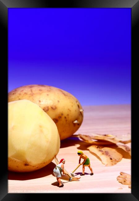 Potato Peelings Framed Print by Drew Gardner