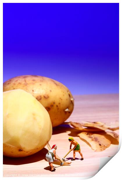 Potato Peelings Print by Drew Gardner