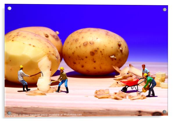 Potato Peelings Acrylic by Drew Gardner