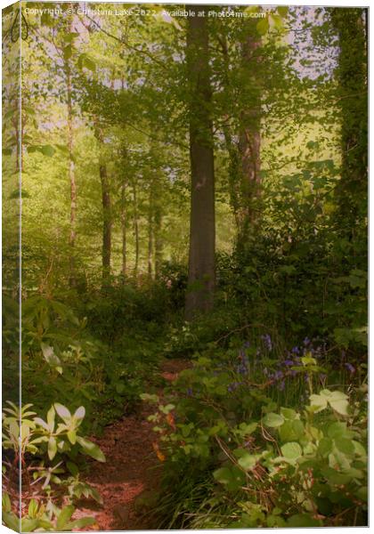 The Trees Beyond Canvas Print by Christine Lake