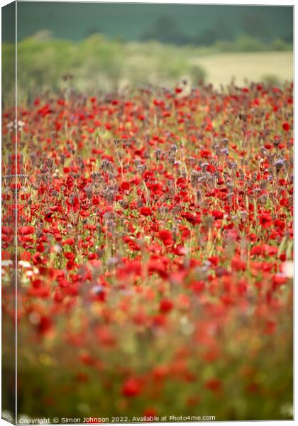 Cotswold Poppies Canvas Print by Simon Johnson