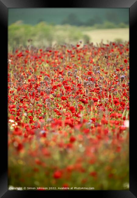 Cotswold Poppies Framed Print by Simon Johnson