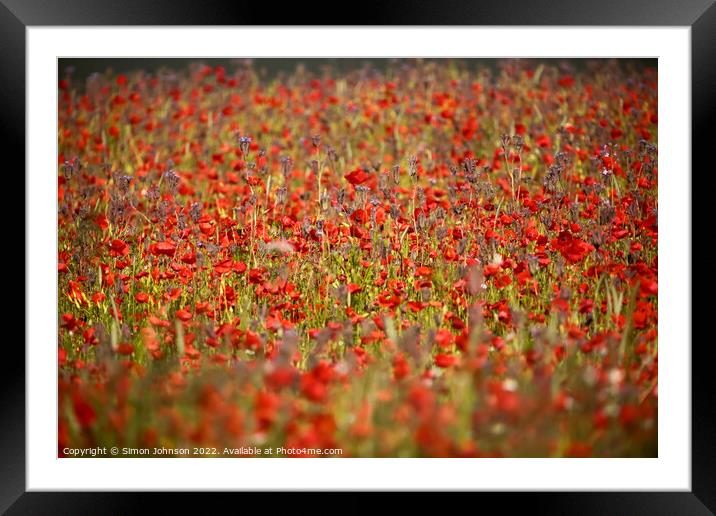 wind blown poppies Framed Mounted Print by Simon Johnson
