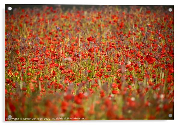 wind blown poppies Acrylic by Simon Johnson