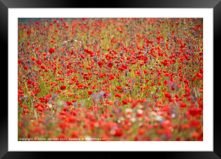 wind blown poppies  Framed Mounted Print by Simon Johnson