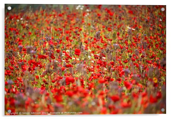 wind blown Poppies Acrylic by Simon Johnson