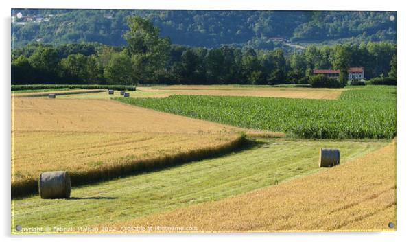 Italian Countryside Agriculture Acrylic by Fabrizio Malisan