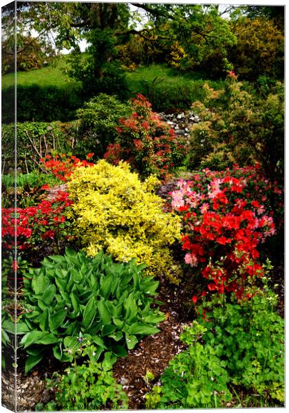 Spring colours in a cottage garden Canvas Print by Peter Wiseman