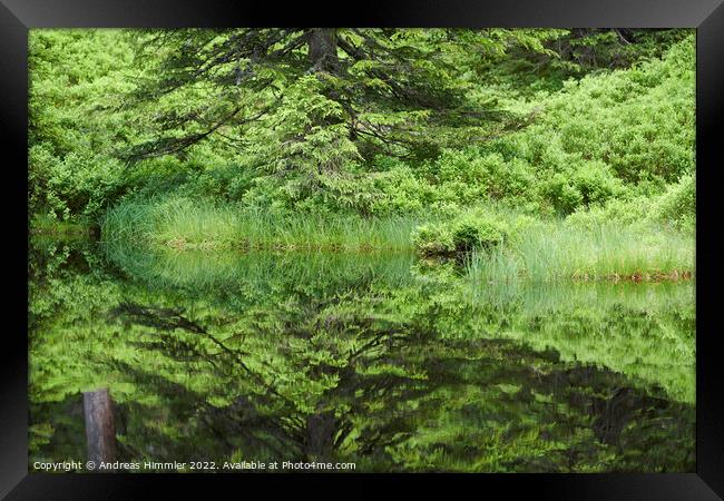 Reflections in a moor pond Framed Print by Andreas Himmler