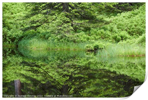 Reflections in a moor pond Print by Andreas Himmler