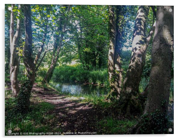 Into the Wensum Acrylic by GJS Photography Artist