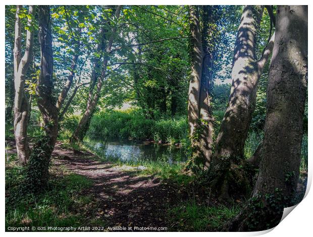 Into the Wensum Print by GJS Photography Artist