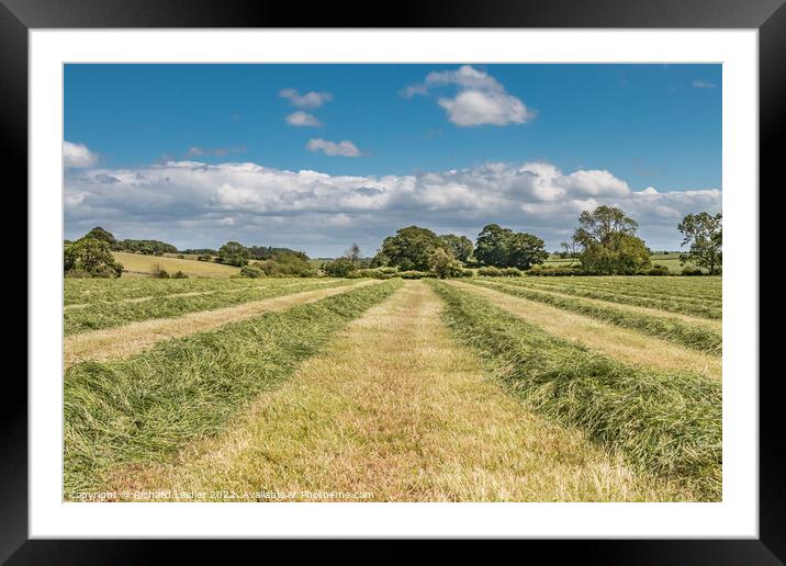 Haymaking at Hutton Magna (1) Framed Mounted Print by Richard Laidler