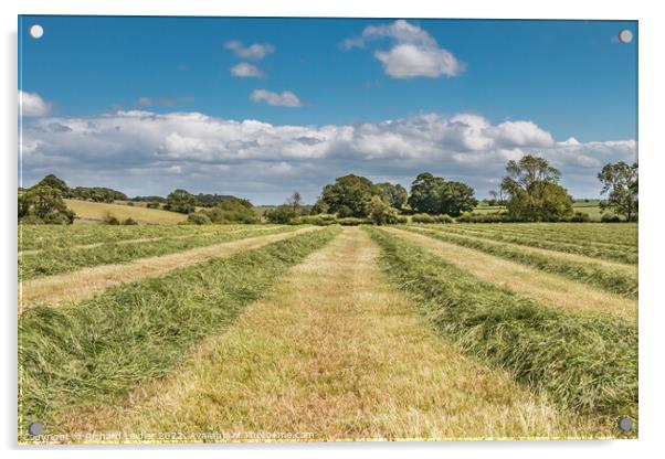 Haymaking at Hutton Magna (1) Acrylic by Richard Laidler