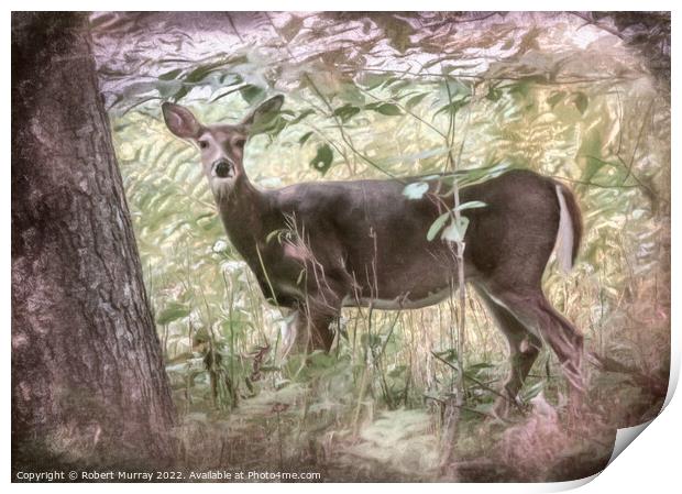White-tailed deer in woodland. Print by Robert Murray