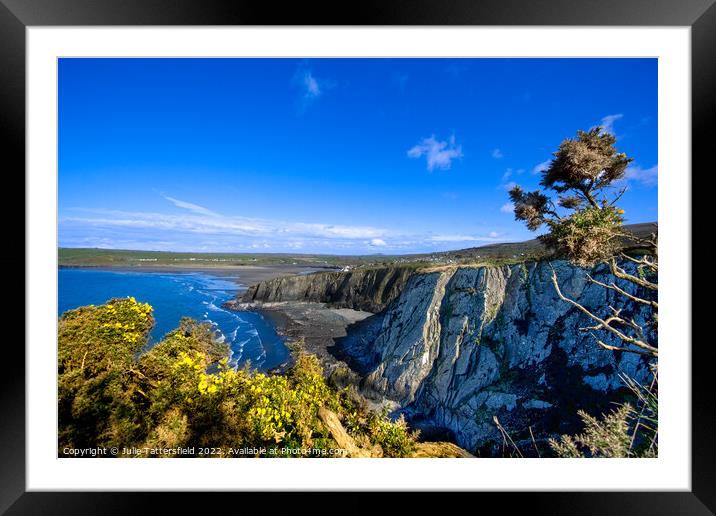 Newport Pembrokeshire, perfect postcard view Framed Mounted Print by Julie Tattersfield