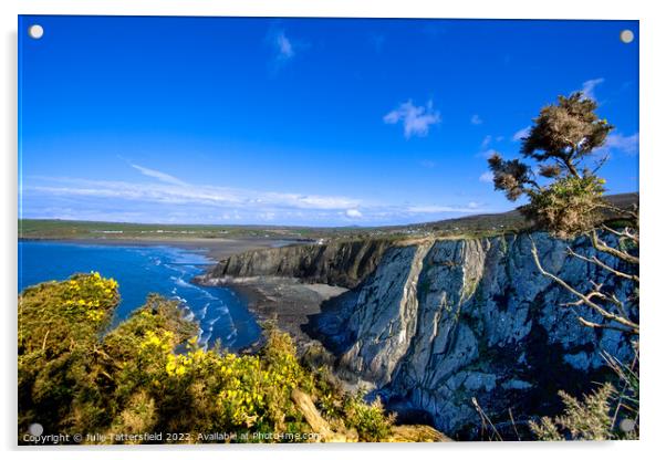 Newport Pembrokeshire, perfect postcard view Acrylic by Julie Tattersfield