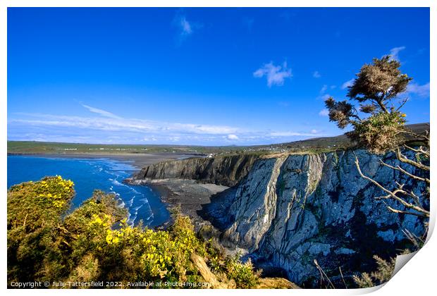 Newport Pembrokeshire, perfect postcard view Print by Julie Tattersfield