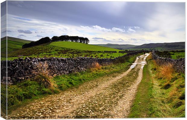 The Yorkshire Dales Canvas Print by Jason Connolly