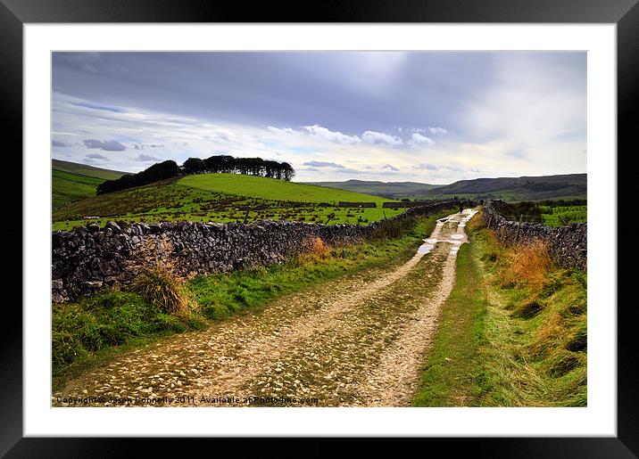 The Yorkshire Dales Framed Mounted Print by Jason Connolly