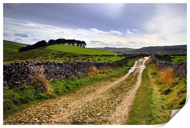 The Yorkshire Dales Print by Jason Connolly