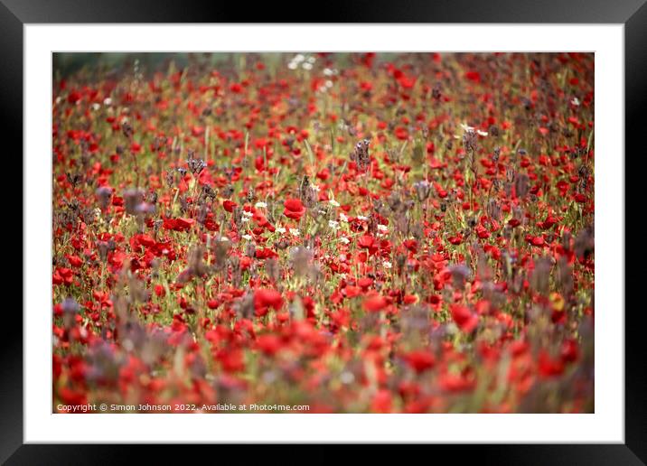 Poppies galore Framed Mounted Print by Simon Johnson
