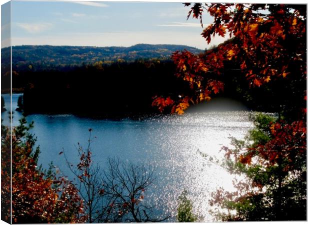 Lake in the Gatineau Hills Canvas Print by Stephanie Moore