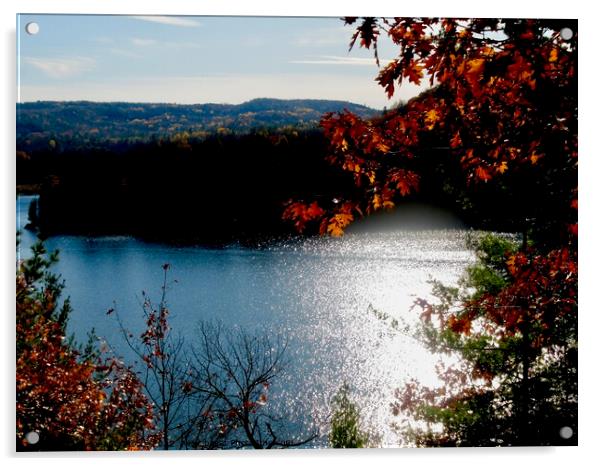 Lake in the Gatineau Hills Acrylic by Stephanie Moore