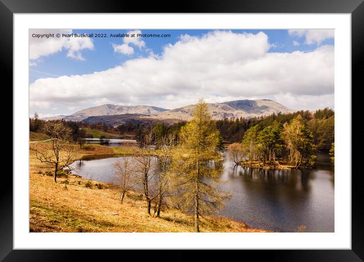Tarn Hows Lake District Landscape Cumbria Framed Mounted Print by Pearl Bucknall