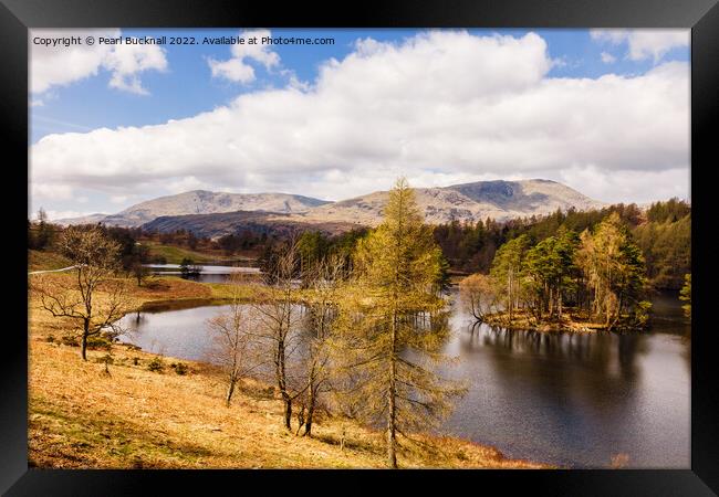 Tarn Hows Lake District Landscape Cumbria Framed Print by Pearl Bucknall