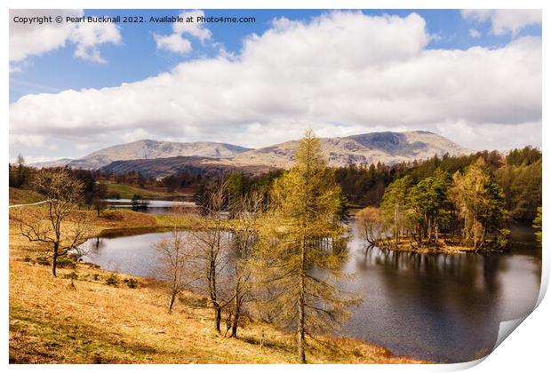 Tarn Hows Lake District Landscape Cumbria Print by Pearl Bucknall