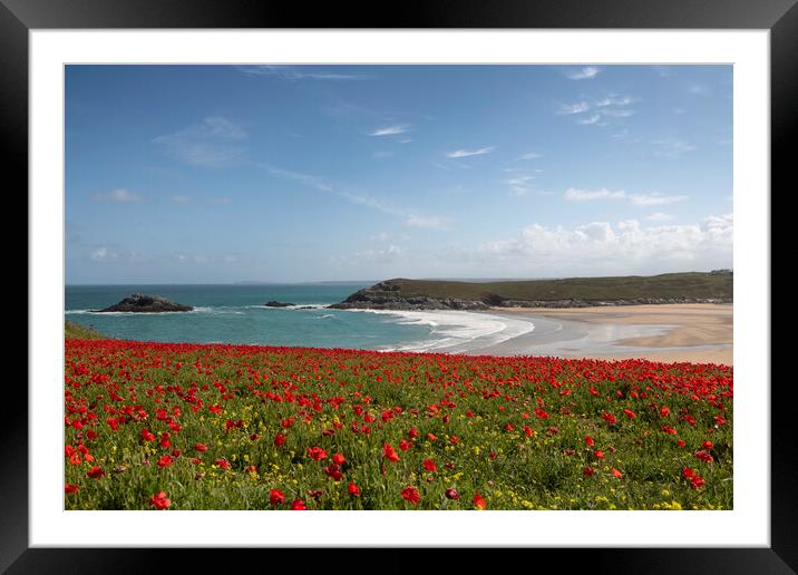 Red poppies, West Pentire  Cornwall Framed Mounted Print by kathy white