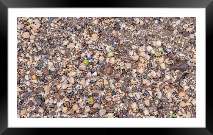 Close up of colourful old shells on a beach of various shapes and sizes Framed Mounted Print by SnapT Photography