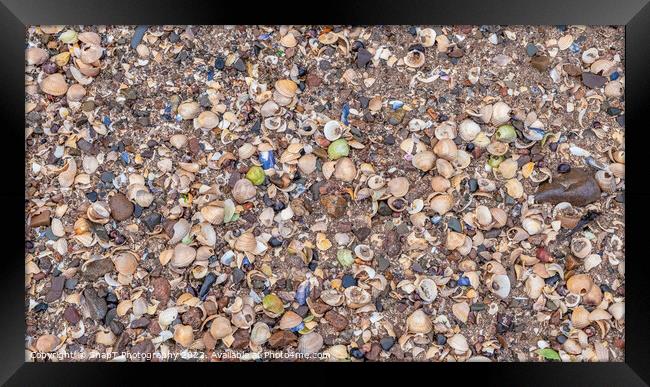 Close up of colourful old shells on a beach of various shapes and sizes Framed Print by SnapT Photography
