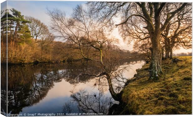 A treelined trail along the Water of Ken river at Kendoon at sunset in winter Canvas Print by SnapT Photography