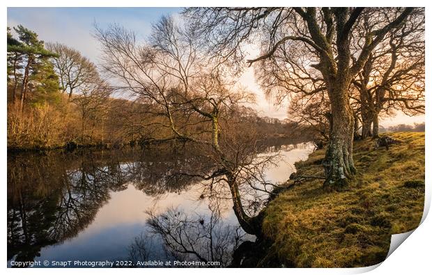 A treelined trail along the Water of Ken river at Kendoon at sunset in winter Print by SnapT Photography
