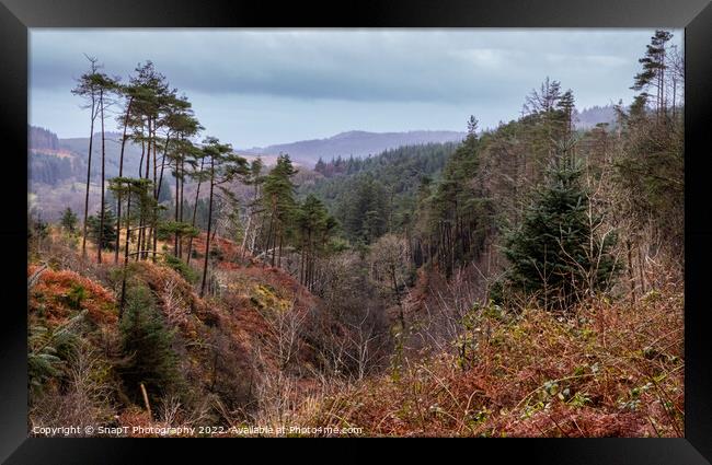 Glen of the Bar viewpoint in Autumn beside The Queen's Way, Galloway Forest Framed Print by SnapT Photography