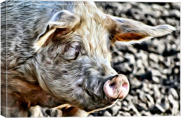 A Close Up Of A Pig (Digital Art Version) Canvas Print by Kevin Maughan