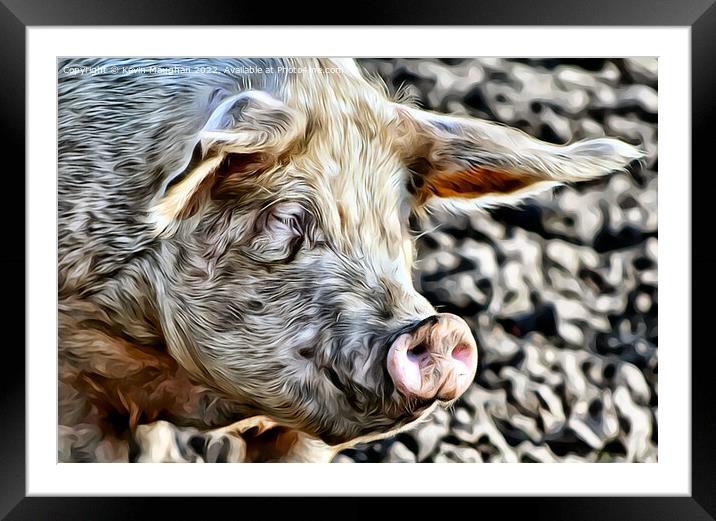 A Close Up Of A Pig (Digital Art Version) Framed Mounted Print by Kevin Maughan