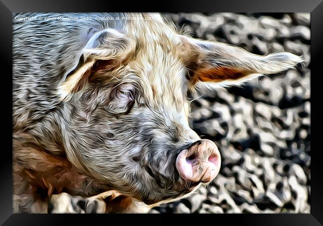 A Close Up Of A Pig (Digital Art Version) Framed Print by Kevin Maughan