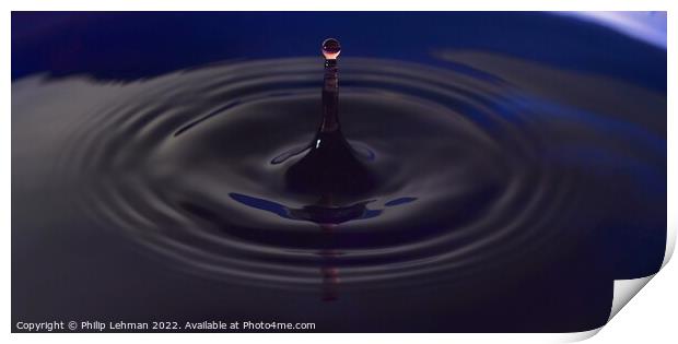 Red Water Drops (3A) Print by Philip Lehman