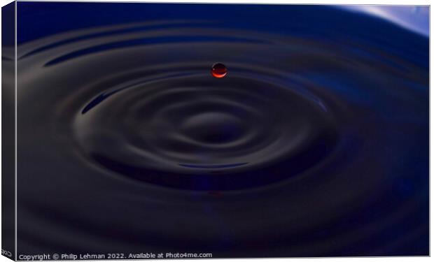 Red Water Drops (2A) Canvas Print by Philip Lehman