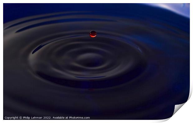 Red Water Drops (2A) Print by Philip Lehman